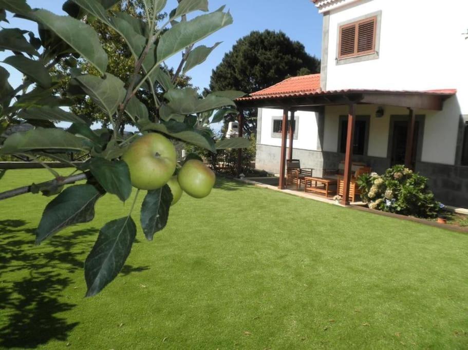 Villa Arrebol Azul Valleseco Экстерьер фото