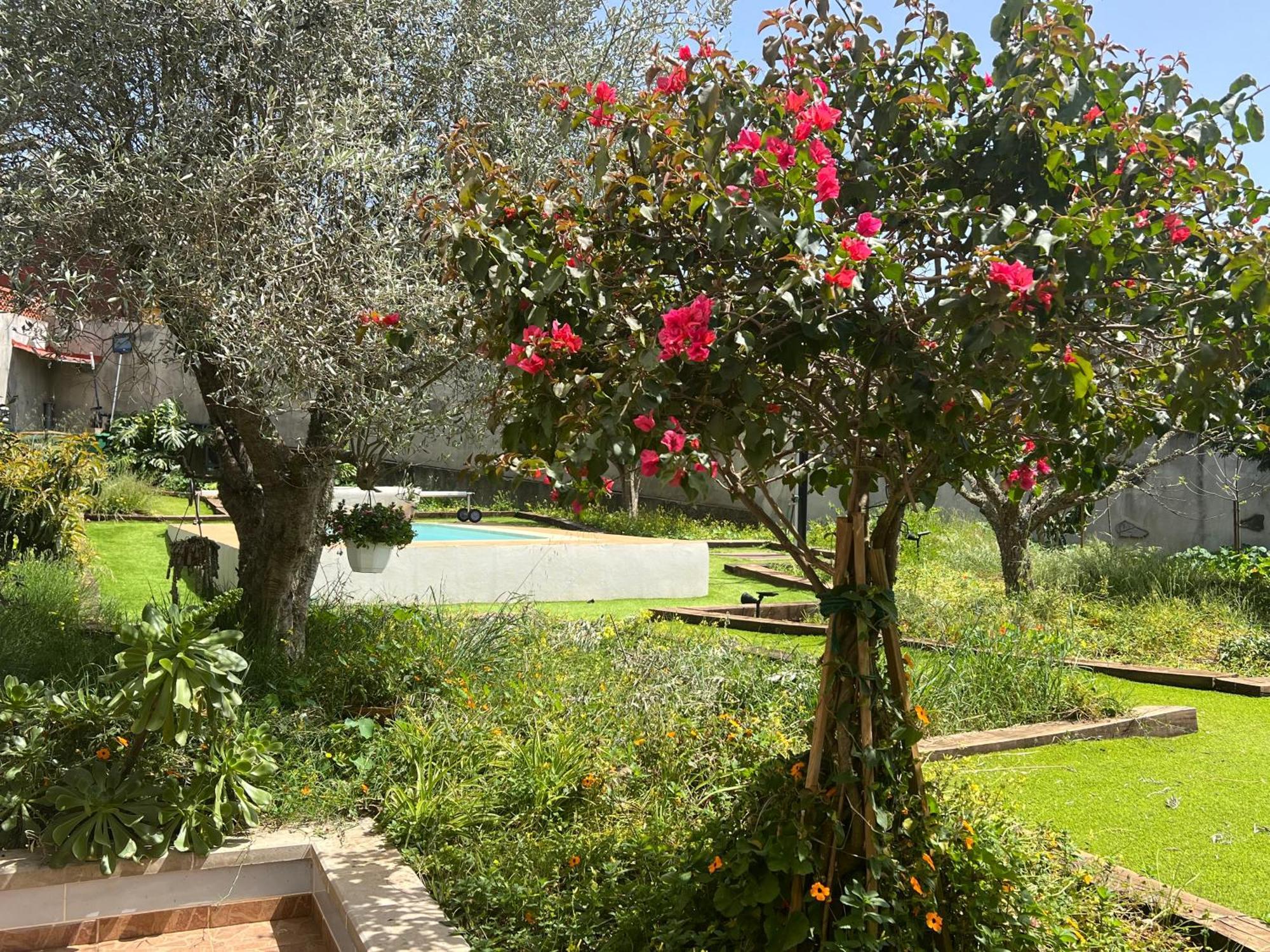 Villa Arrebol Azul Valleseco Экстерьер фото